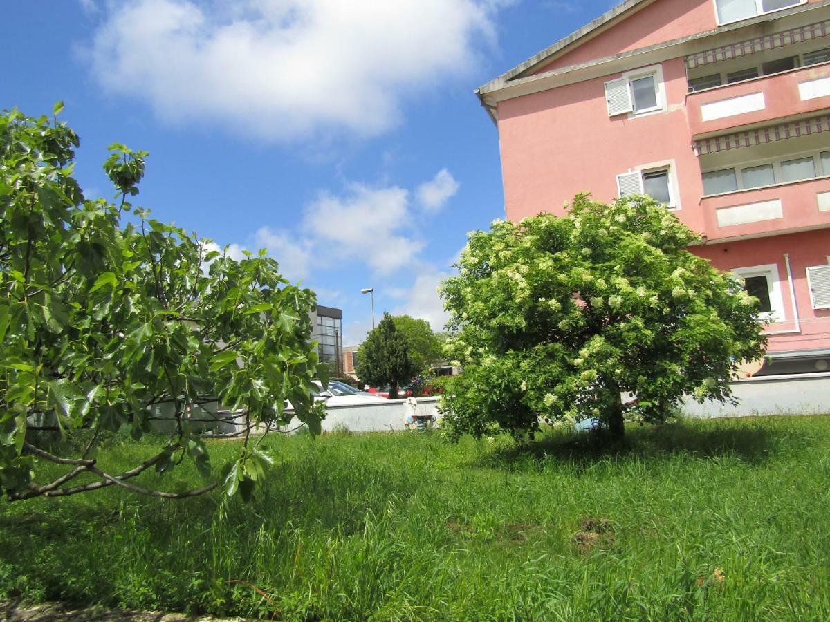 Green Garden Apartments Rovinj Extérieur photo